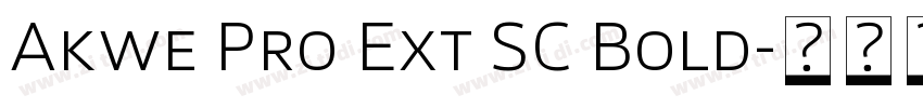 Akwe Pro Ext SC Bold字体转换